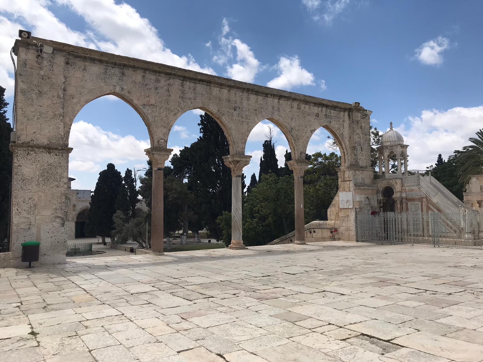 البائكة الوسطى الجنوبية