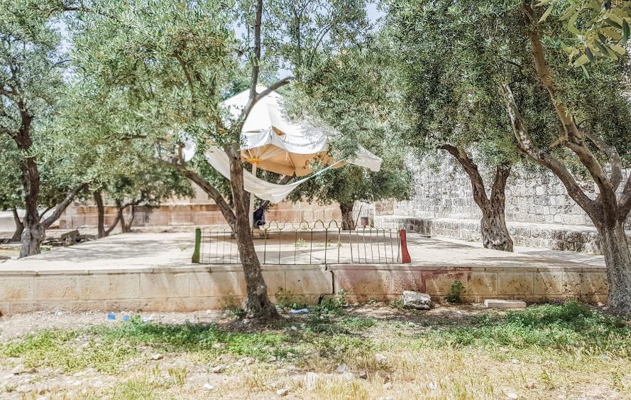 مصطبة الغزالي