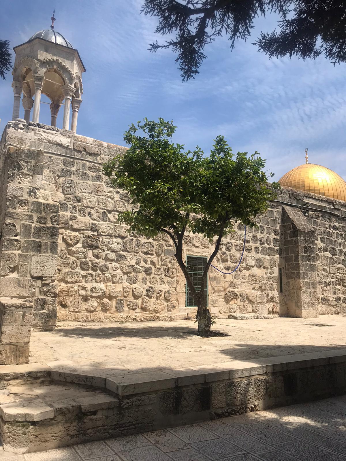 مصطبة قبة الخضر