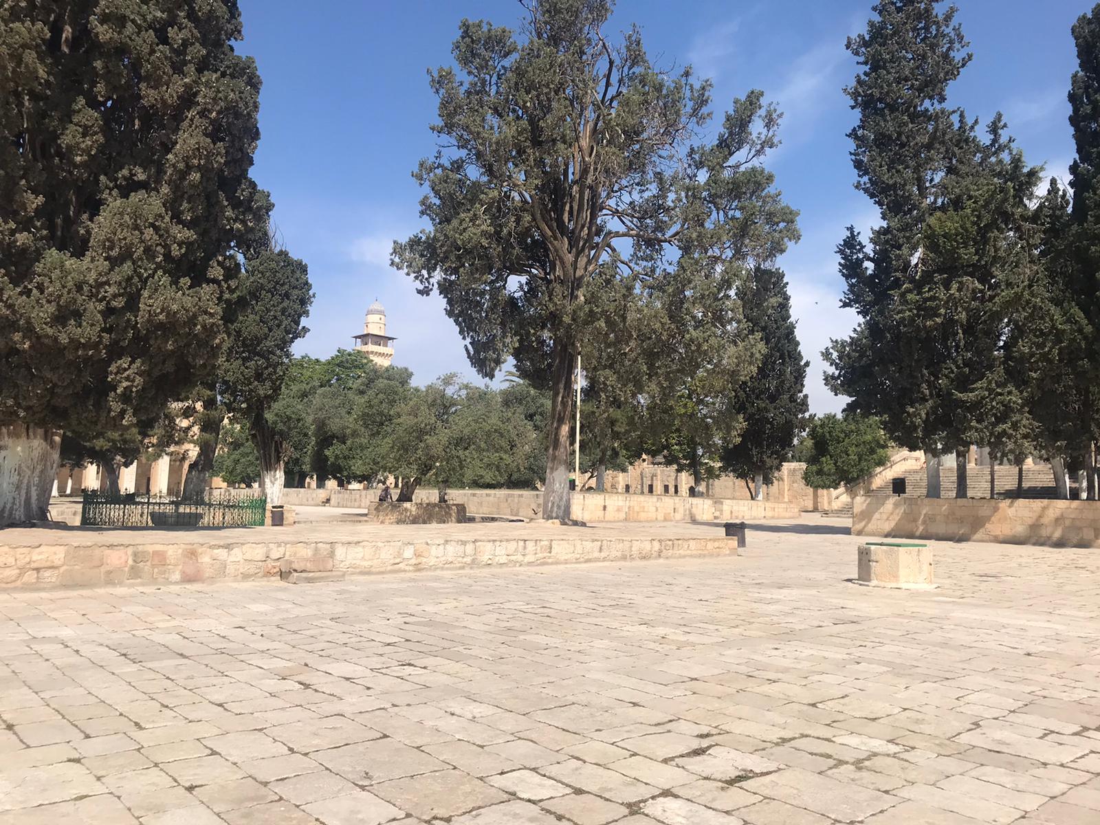 مصطبة شرق الكأس