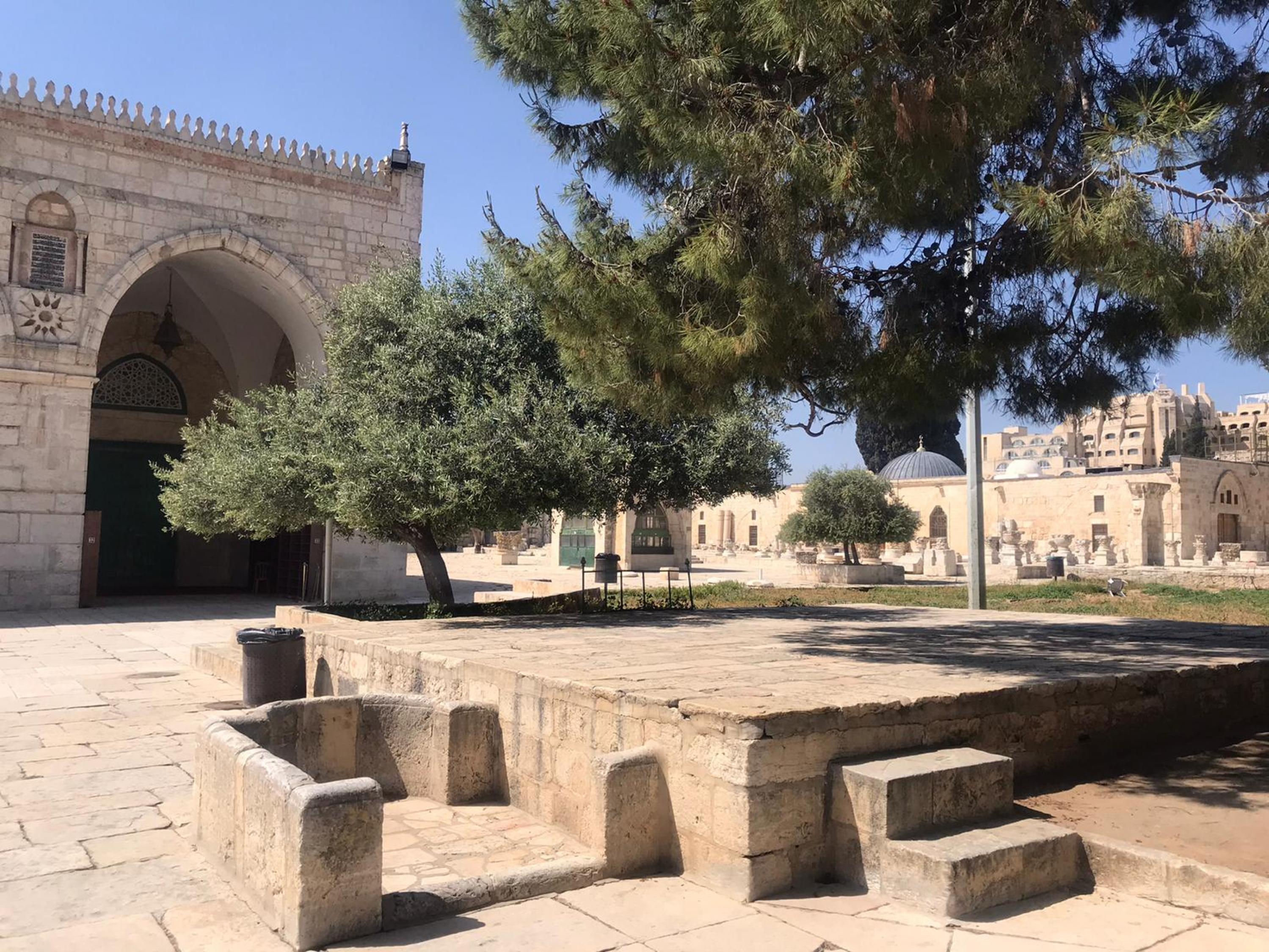 مصطبة الزهور